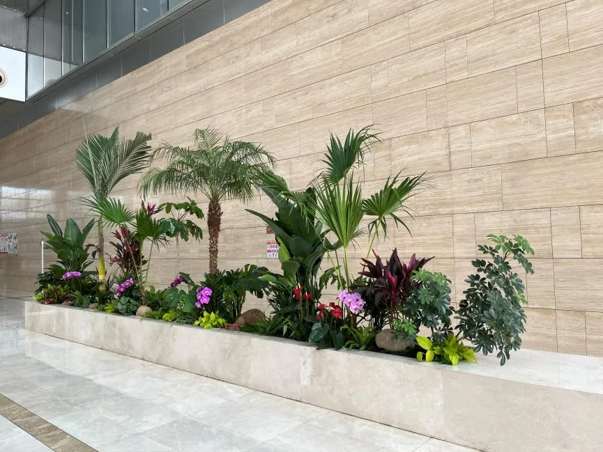 北仑绿植租赁，为家居打造别样生机与自然